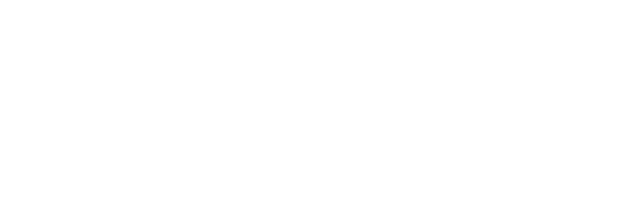 Servis Cepte